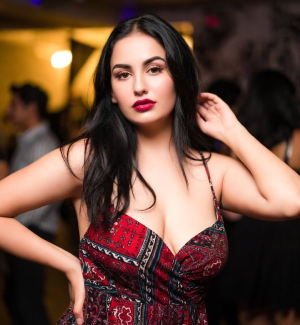 About Escort Service in Delhi